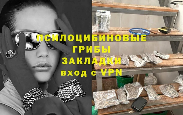 мдпв Володарск