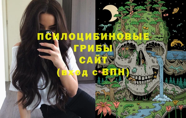 эйфоретик Красноперекопск