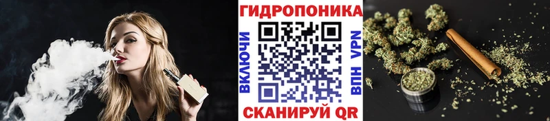 закладка  Демидов  Каннабис семена 